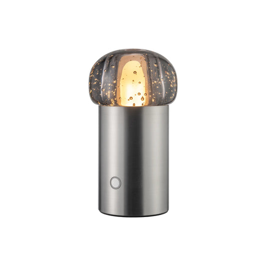 blomus Iris Led-lampa 18 cm, Silver Metal