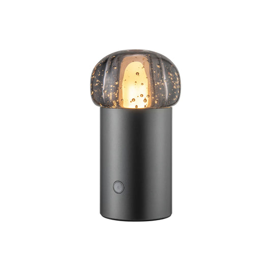 blomus Iris Led-lampa 18 cm, Gunmetal