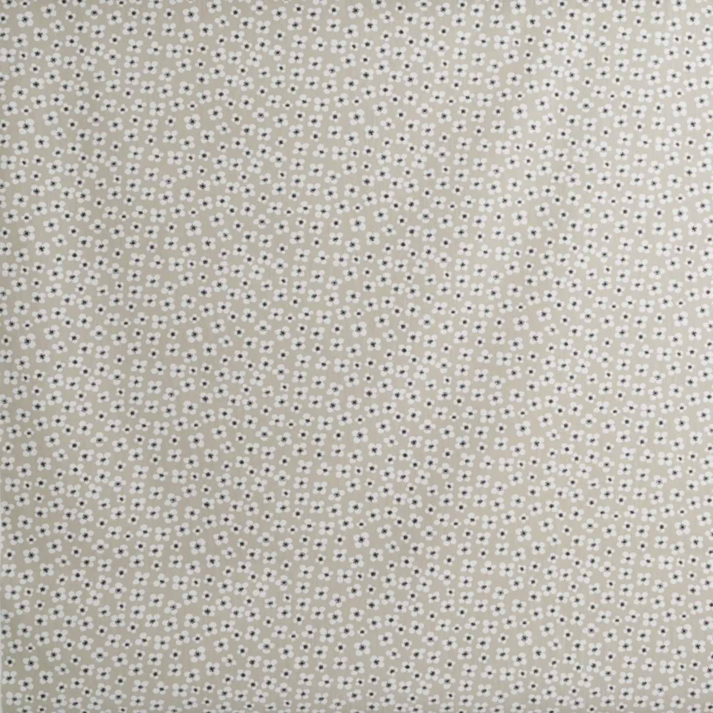 Almedahls Belle Amie Vaxduk 145x220cm, Beige