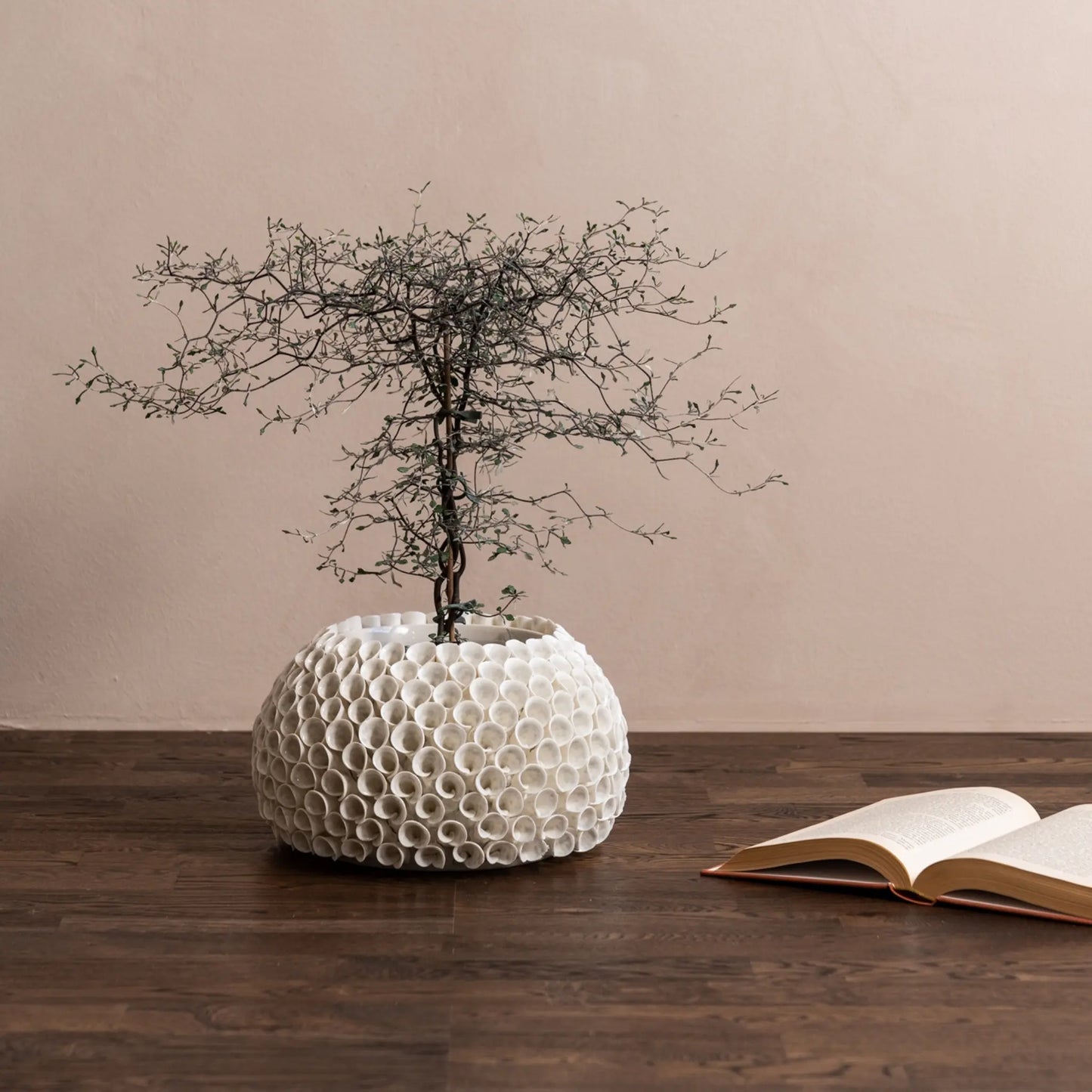 Mogihome, Shelly Vas, Creme-Silvra Home