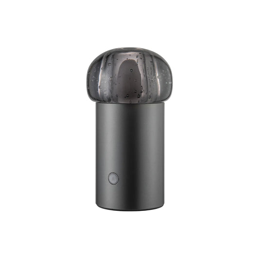 blomus Iris Led-lampa 18 cm, Gunmetal