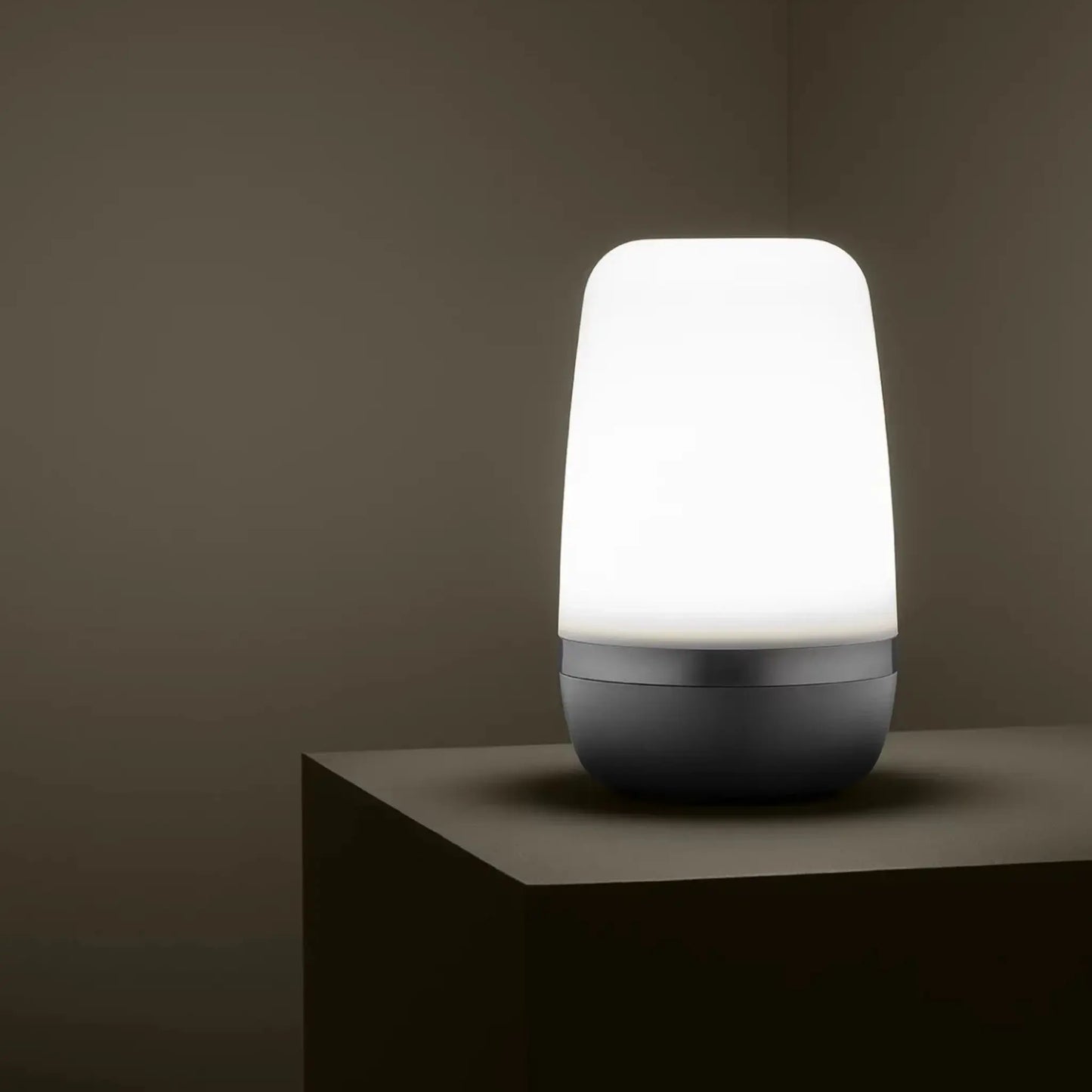 blomus Spirit Utomhuslampa LED 25 cm, Platinagrå