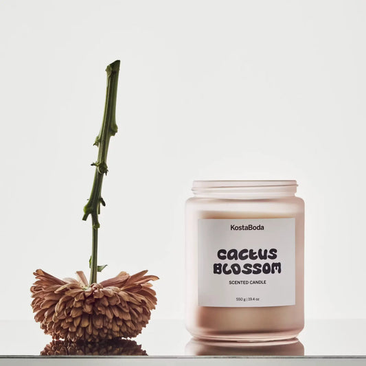 Kosta Boda Mind Doftljus 550g Cactus Blossom