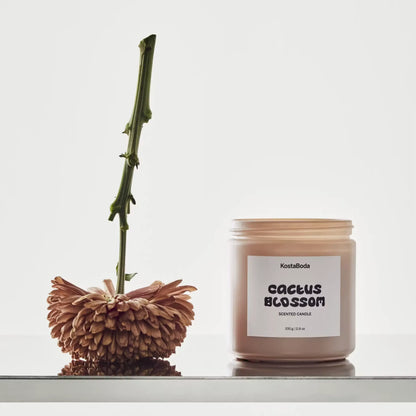 Kosta Boda Mind Doftljus 330g Cactus Blossom
