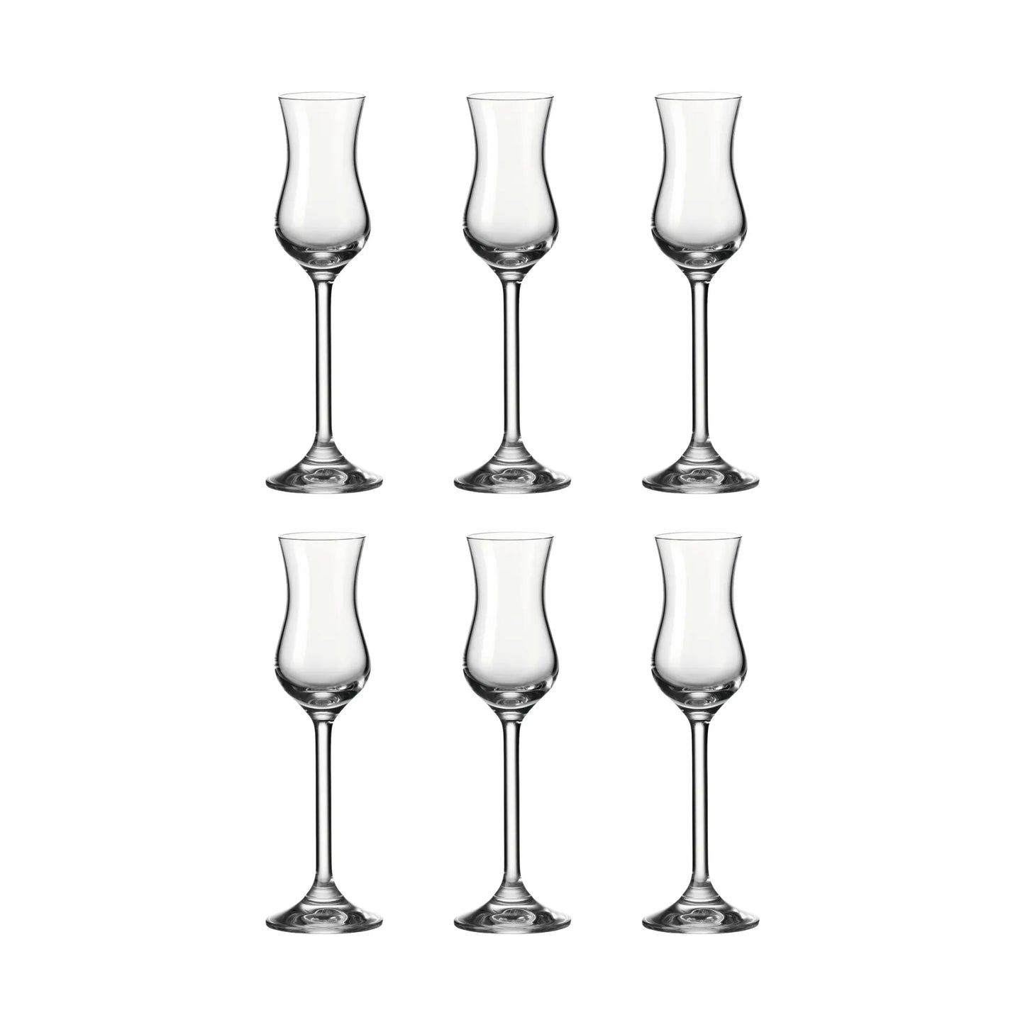 Leonardo Grappaglas 100 ml Daily 6-pack