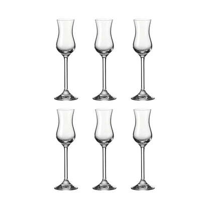 Leonardo Grappaglas 100 ml Daily 6-pack