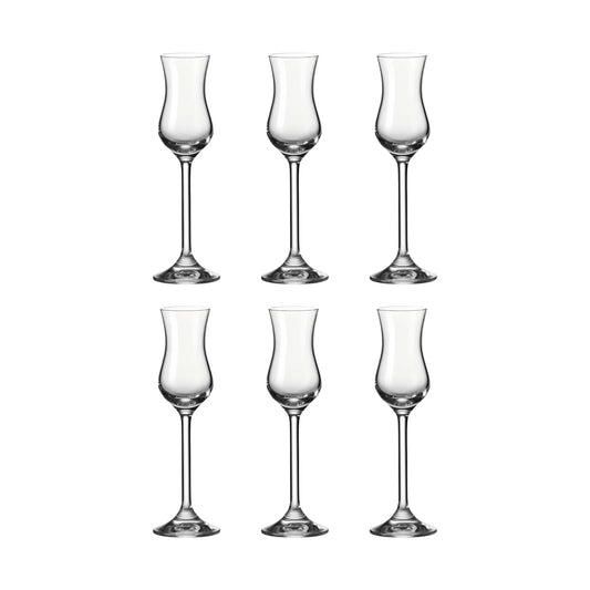Leonardo Grappaglas 100 ml Daily 6-pack