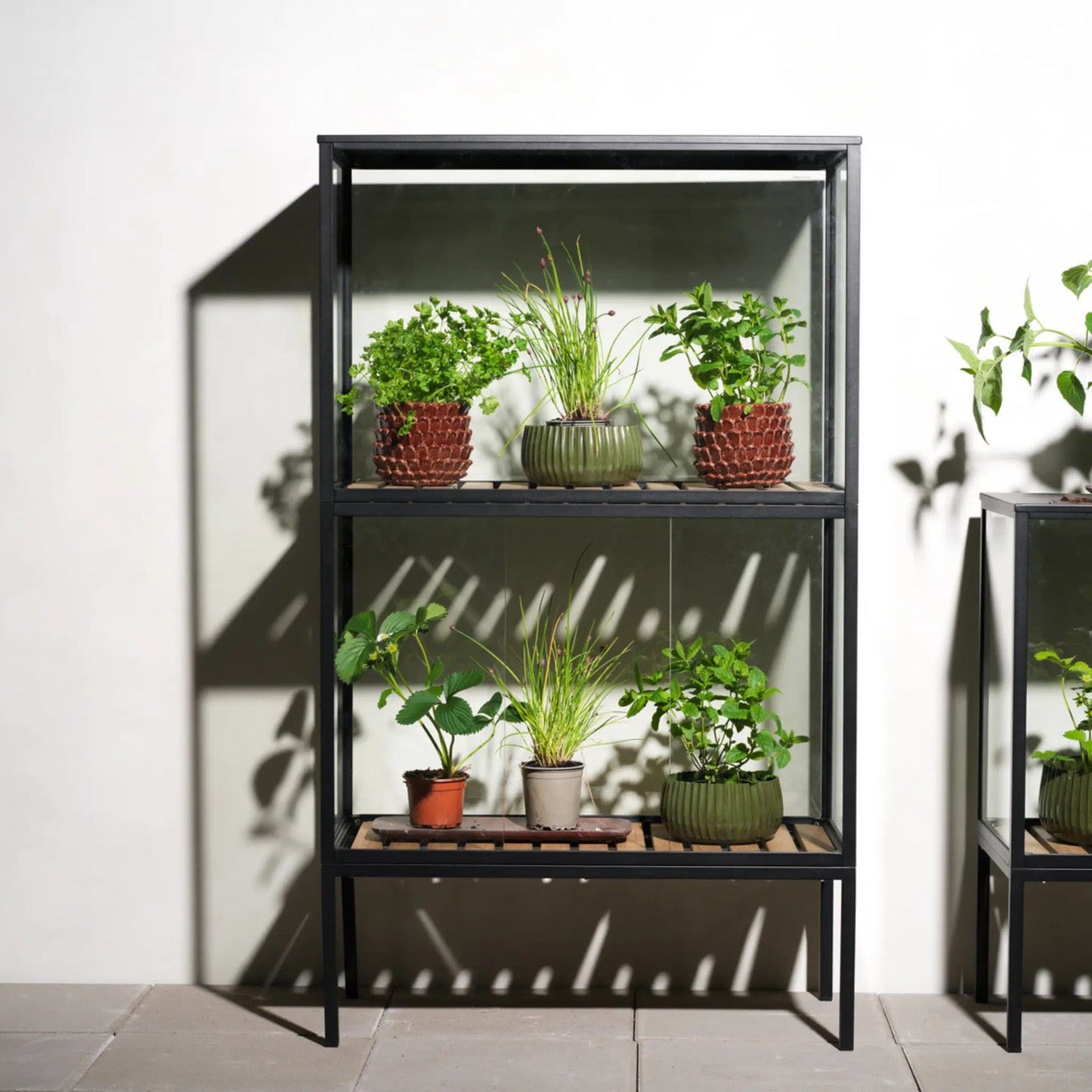 Brafab Grower Greens Växtskåp, Svart