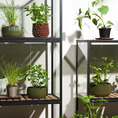 Brafab Grower Greens Växtskåp, Svart