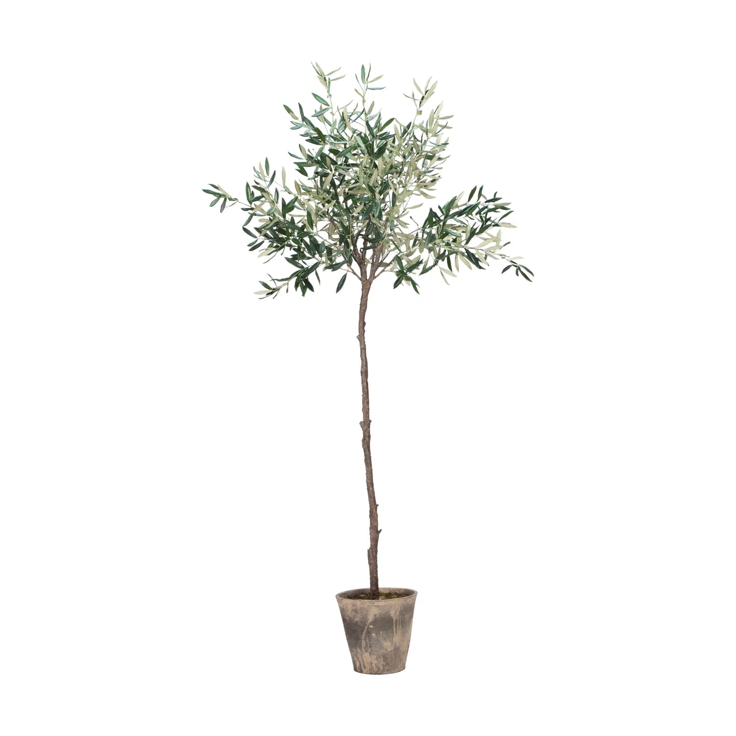 Lene Bjerre Flora Blomma, Grön