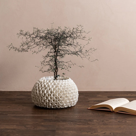 Mogihome, Shelly Vas, Creme-Silvra Home