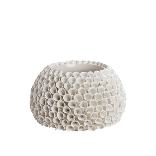 Mogihome, Shelly Vas, Creme-Silvra Home