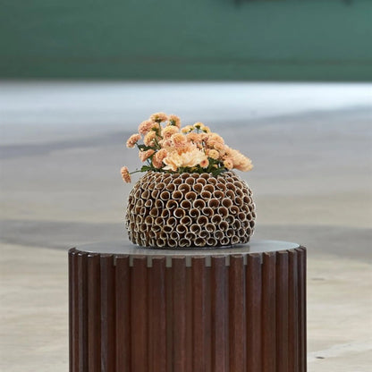 Mogihome, Shelly Vas, Brun-Silvra Home