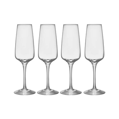 Orrefors, Pulse Champagneglas 28 cl 4-Pack, Klar-Silvra Home