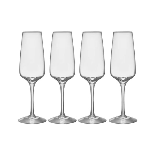 Orrefors, Pulse Champagneglas 28 cl 4-Pack, Klar-Silvra Home