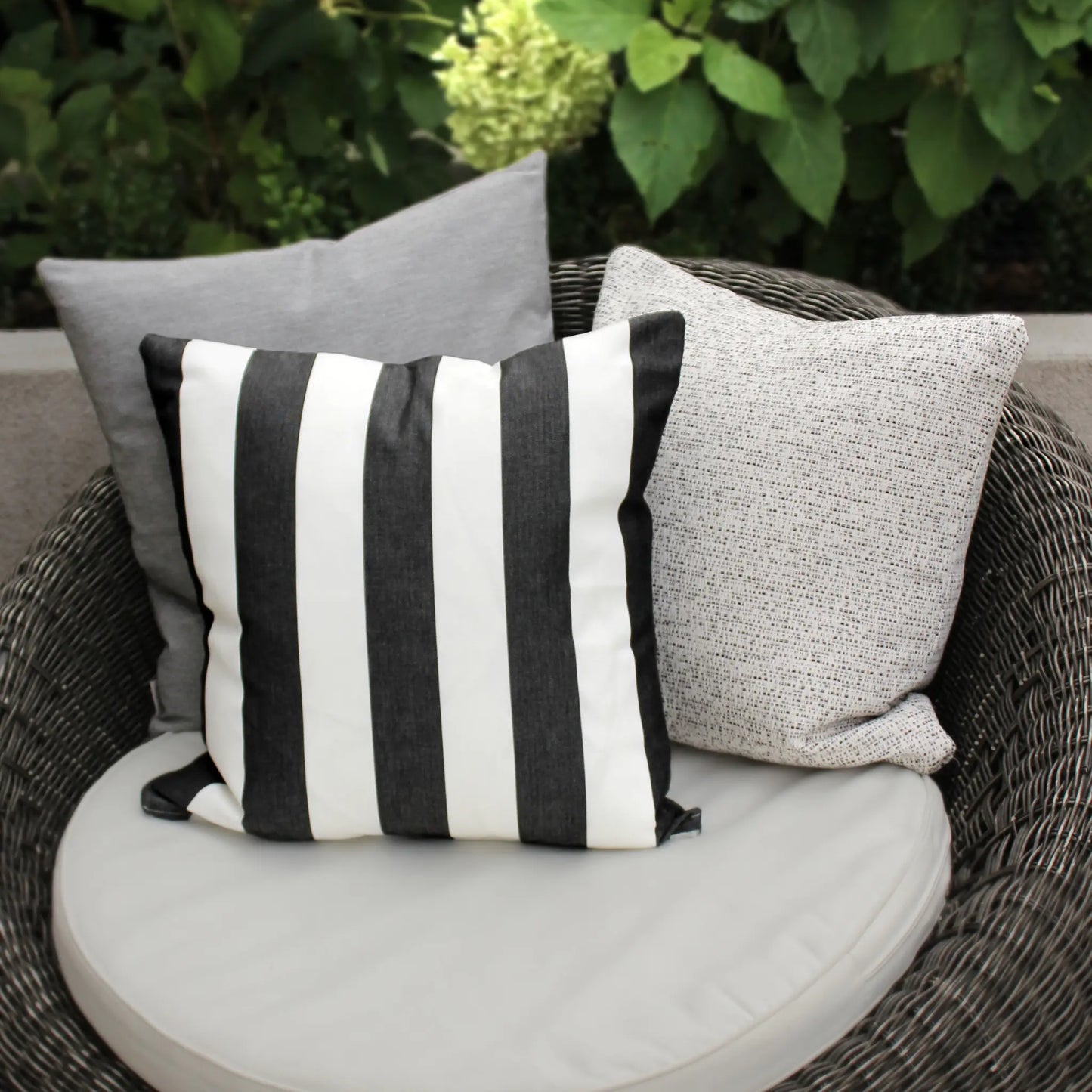 Svanefors Dis Kuddfodral 50x50cm, Svart