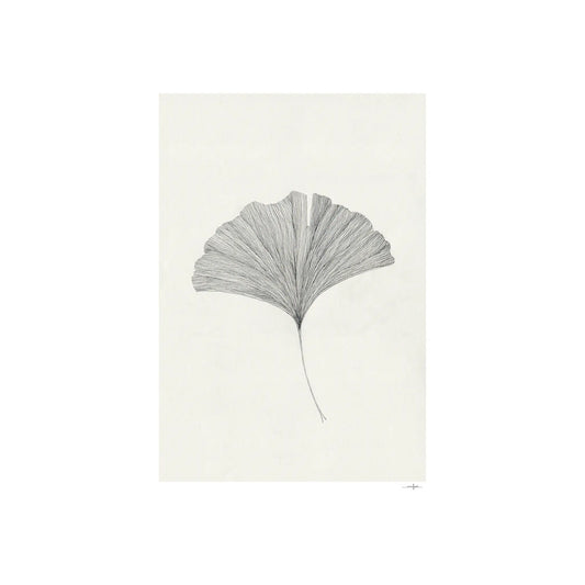 The Poster Club Ginkgo Leaf Poster 50x70
