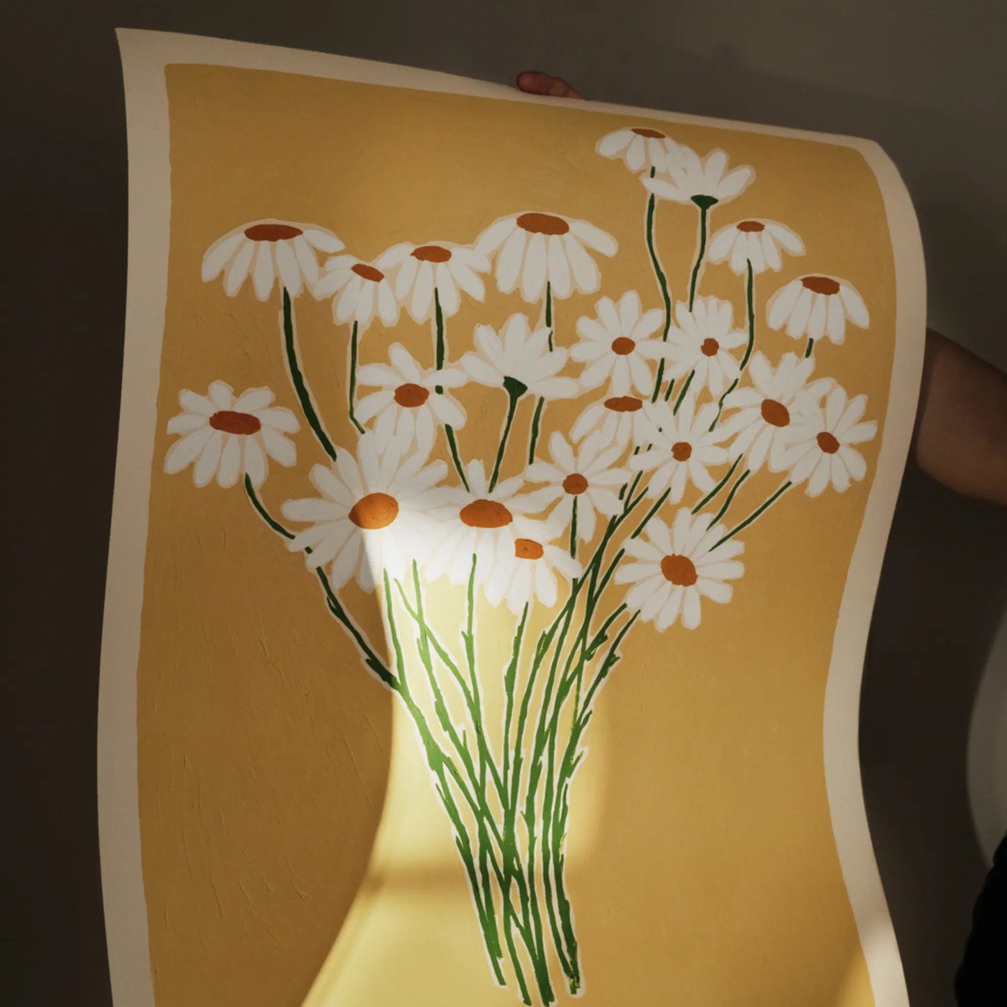 The Poster Club Daisies Poster 70x100